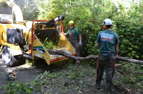 tree services Ballard